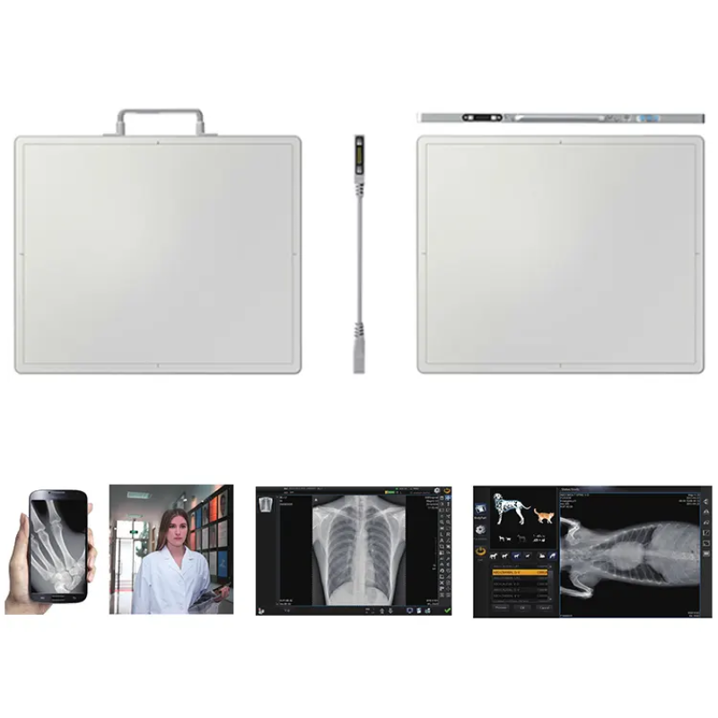 Wireless Medical X ray Equipment&Accessories Factory Direct Sale X-Ray Flat Panel Detector Pet